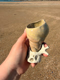 Tasse Shellpresso #2