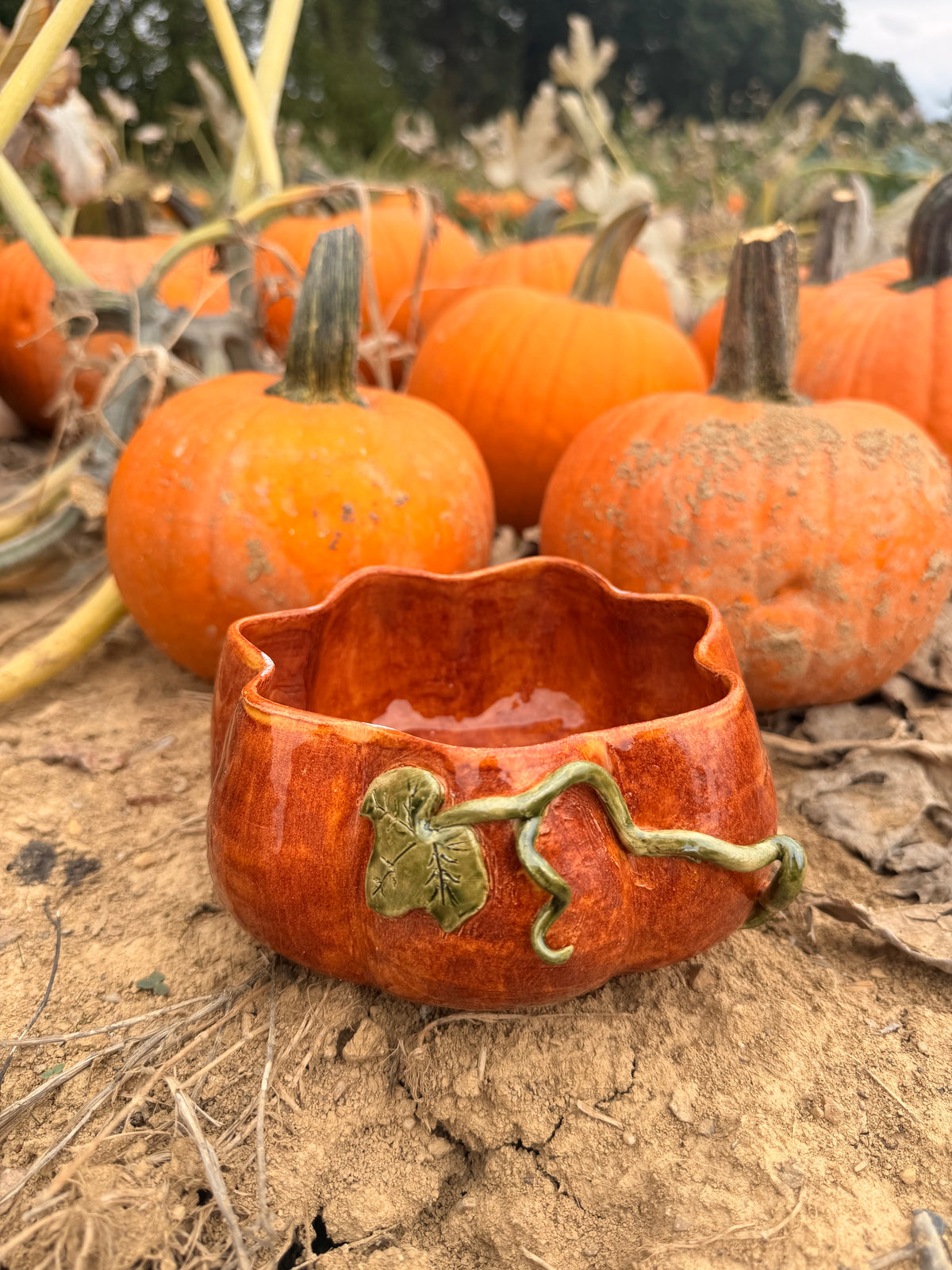 Récolte : Pumpkin Bowl