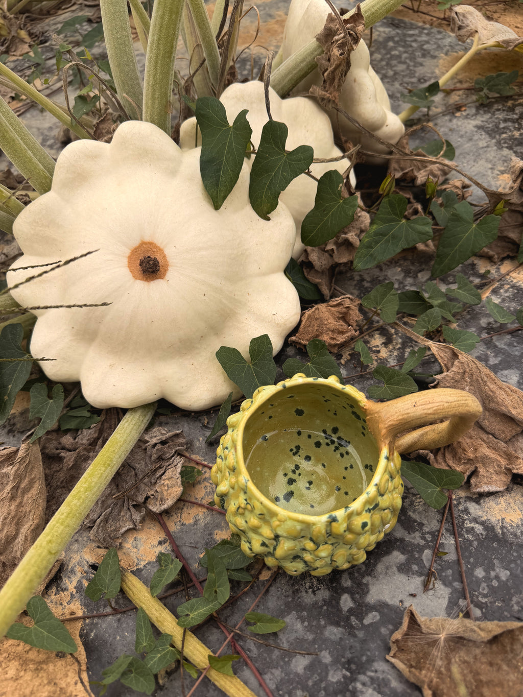 Récolte : Mug coloquinte verruqueuse clair
