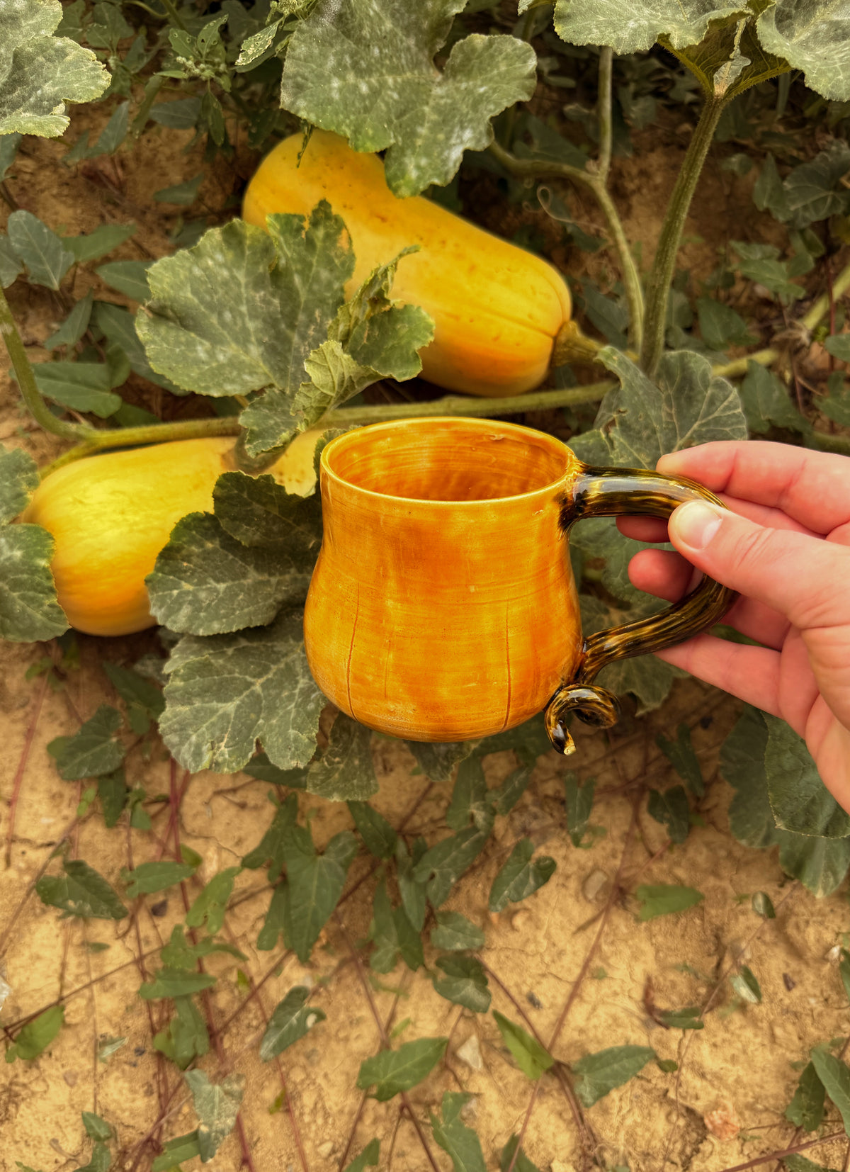 Récolte : Mug butternut