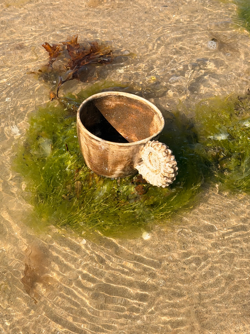 L'Ammonimug