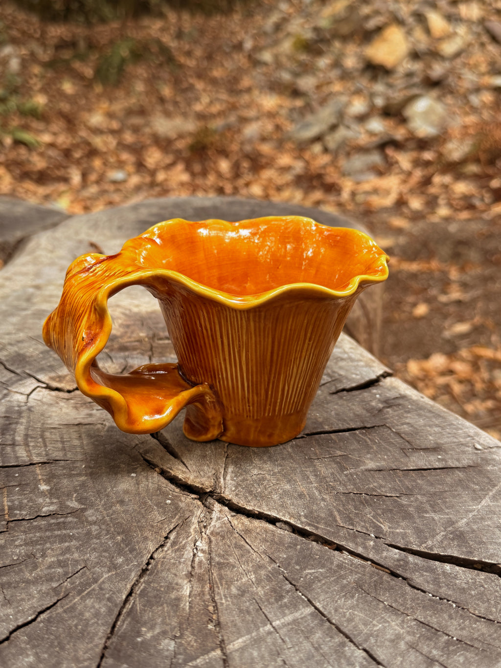 Sous-bois : Tasse girolle