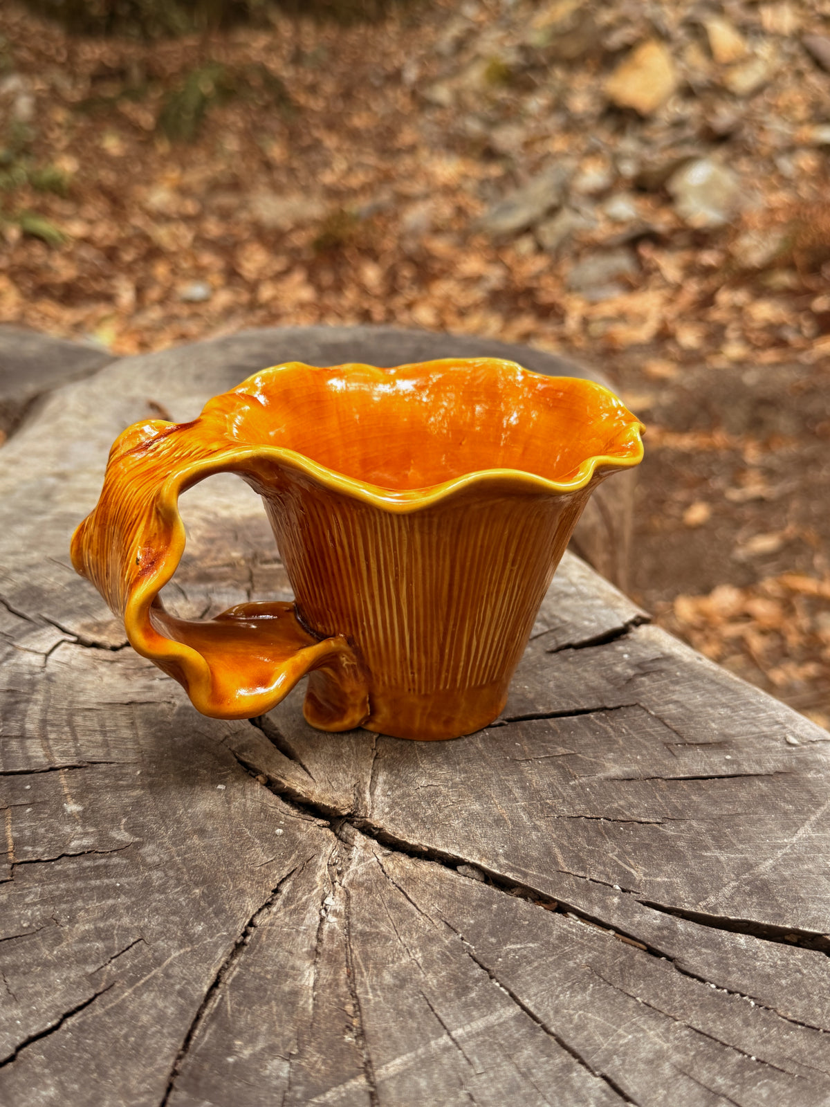 Sous-bois : Tasse girolle