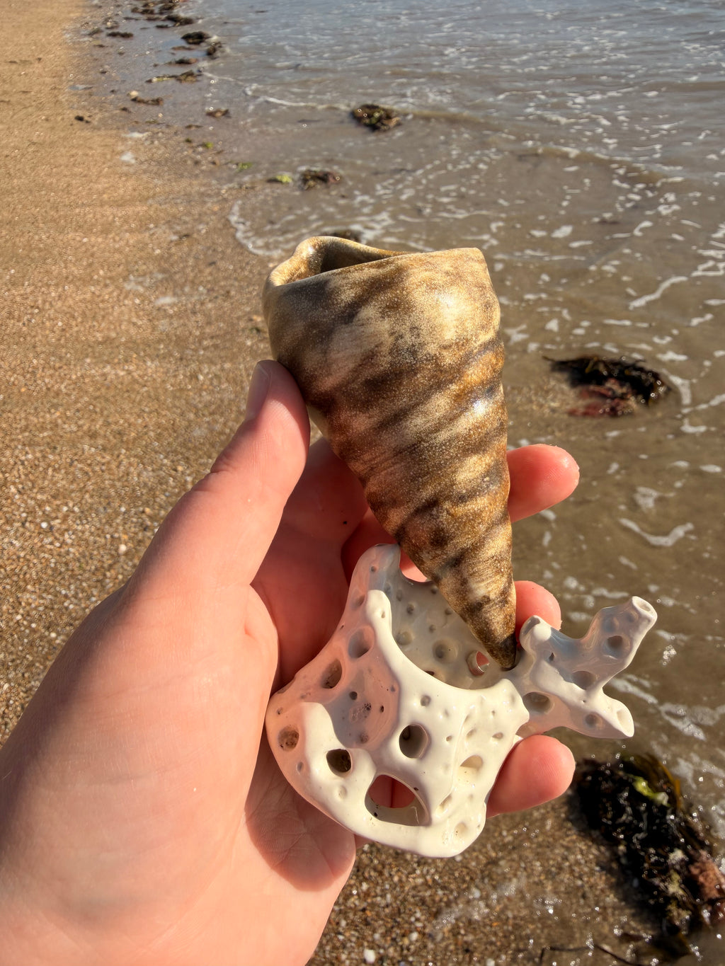Tasse Shellpresso