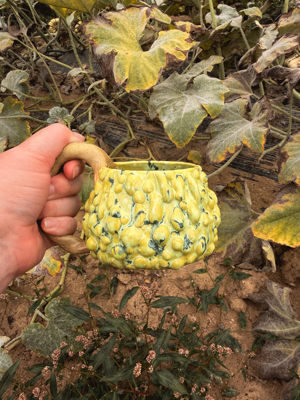 Récolte : Mug coloquinte verruqueuse clair