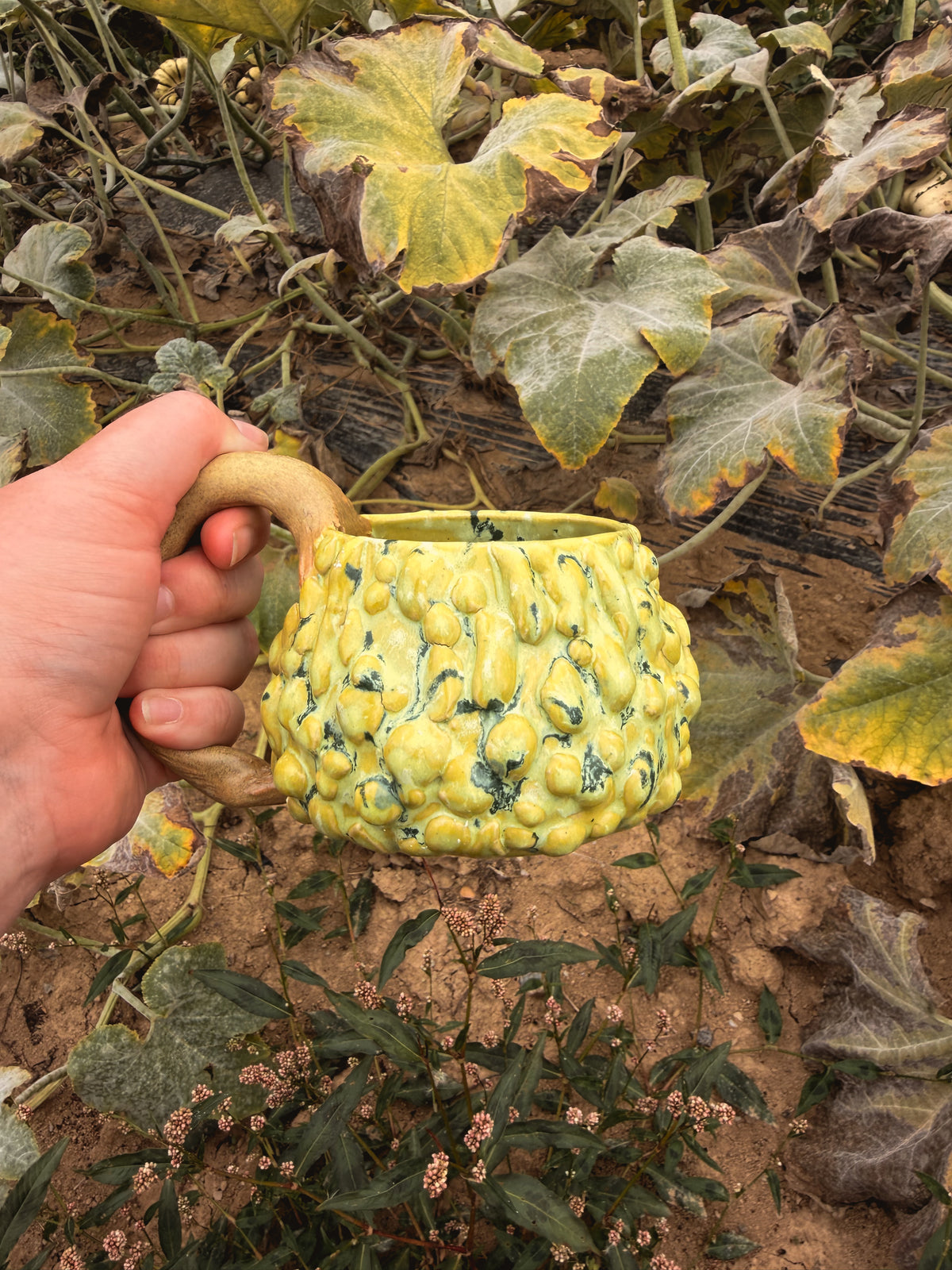 Récolte : Mug coloquinte verruqueuse clair