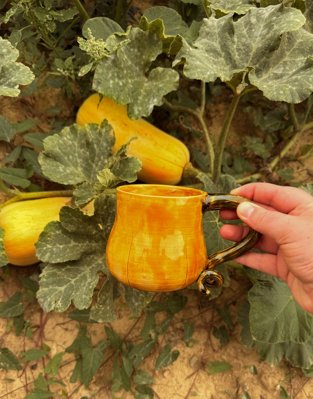 Récolte : Mug butternut