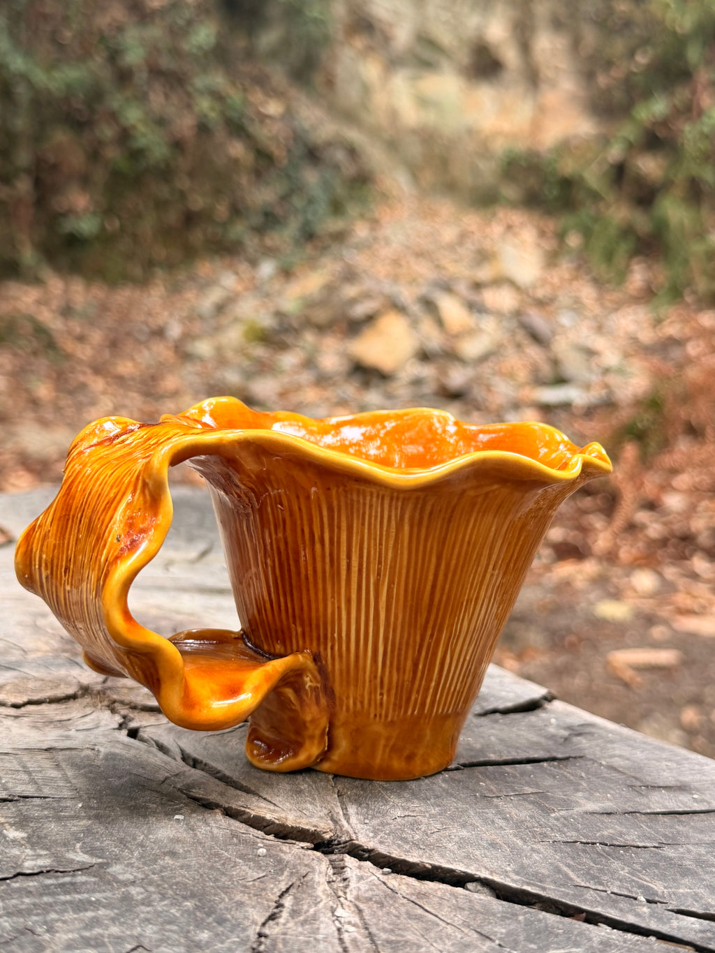 Sous-bois : Tasse girolle