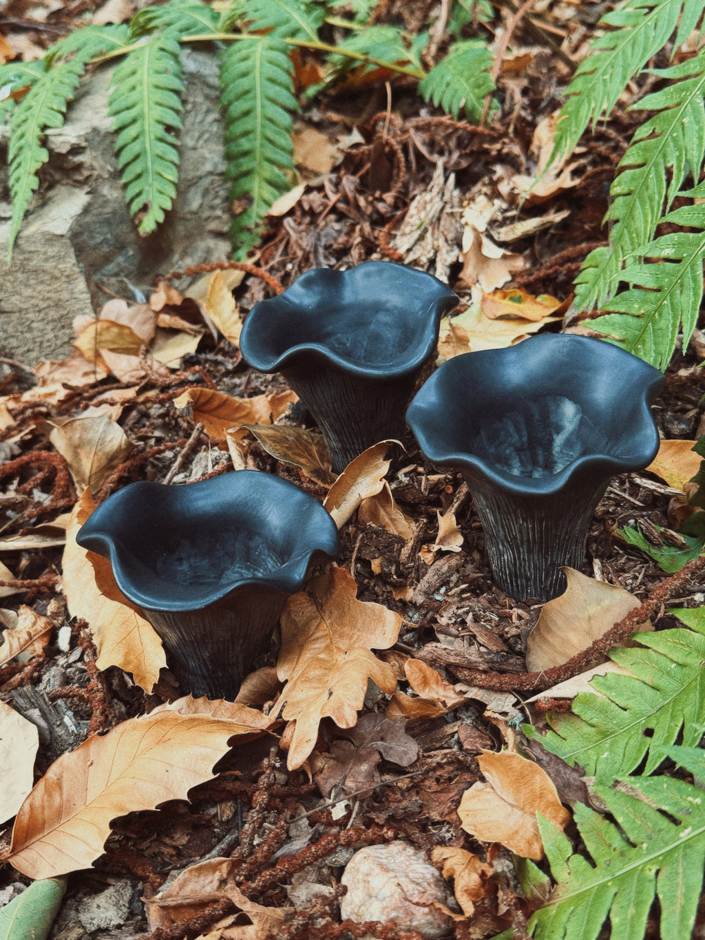 Sous-bois : Tasse expresso trompette de la mort