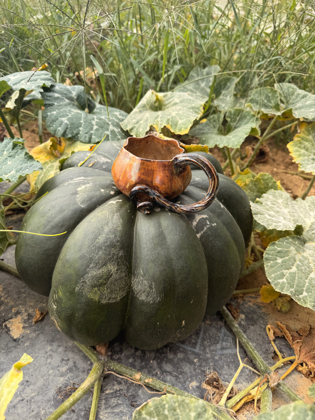 Récolte : Mug citrouille orange vielli