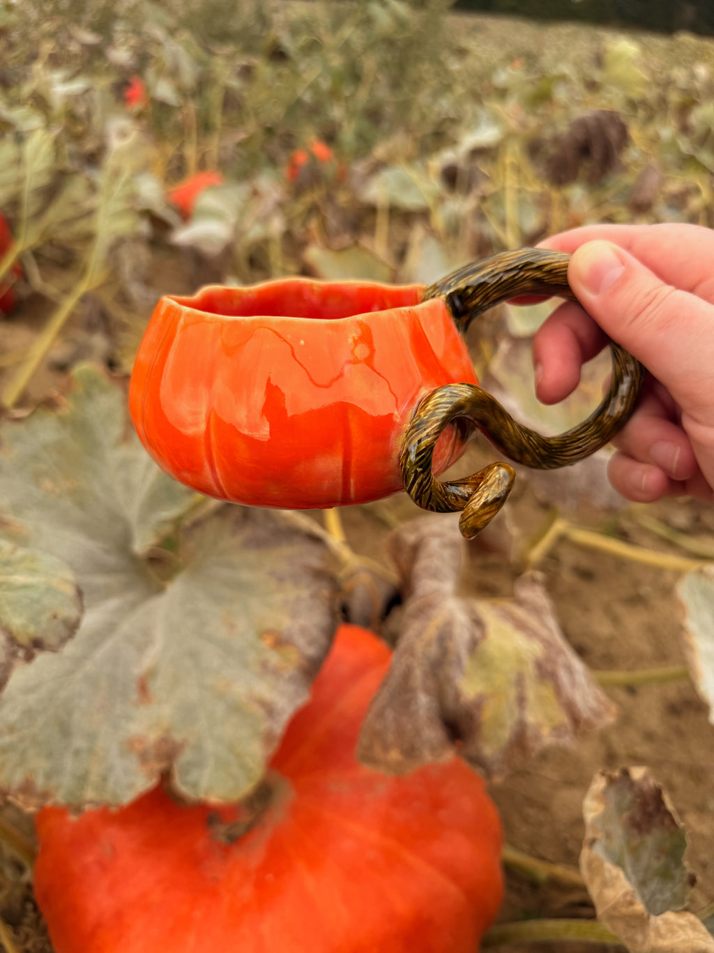Récolte : Mug citrouille orange pop