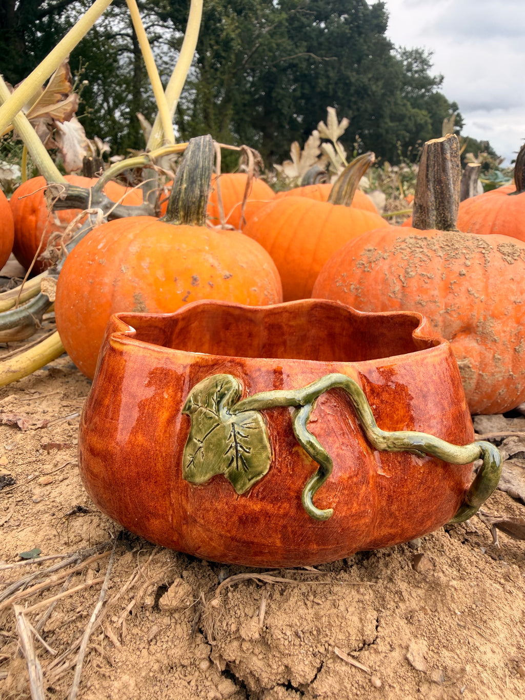 Récolte : Pumpkin Bowl