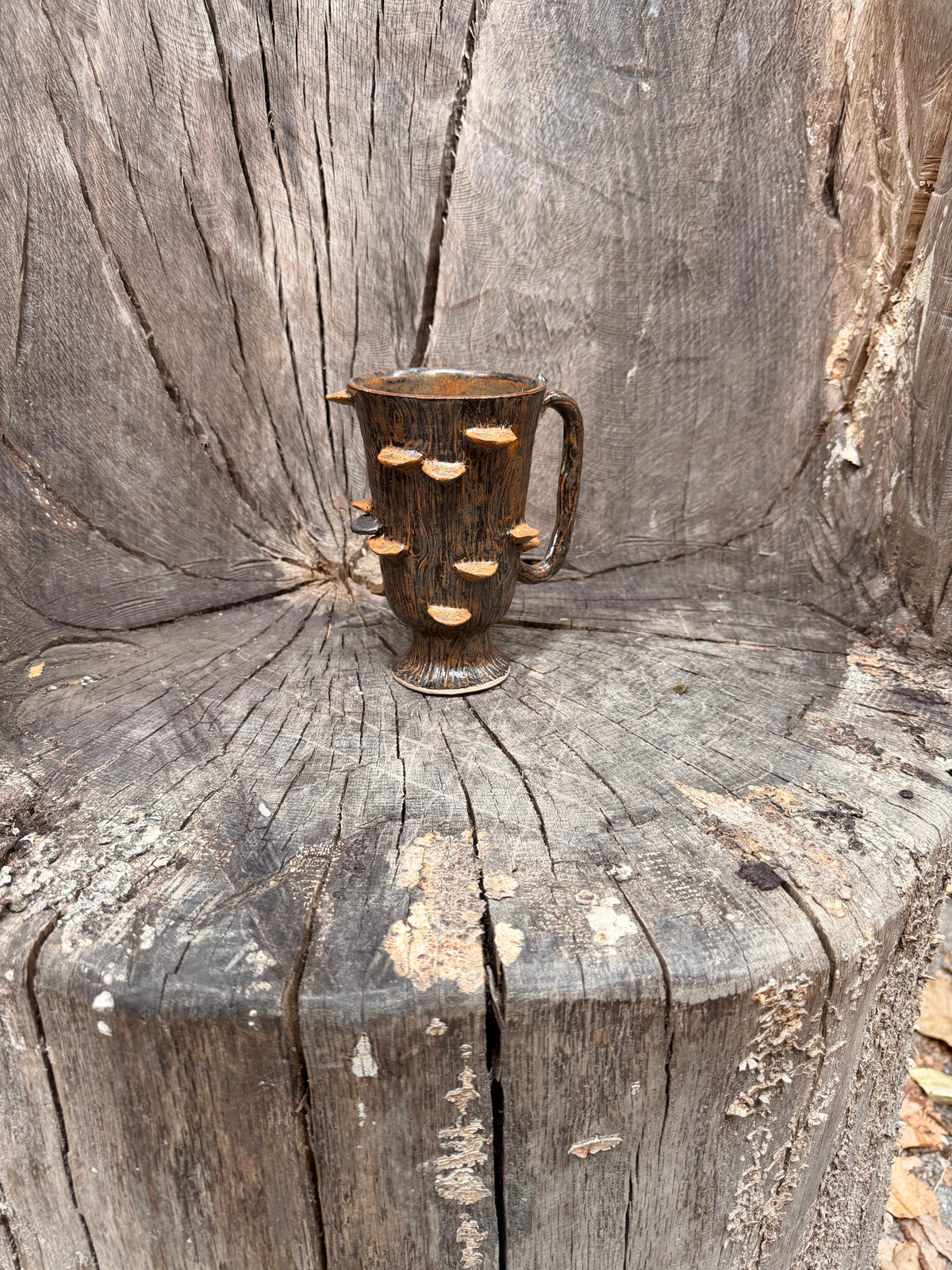 Sous-bois : Mug arbre à champignons