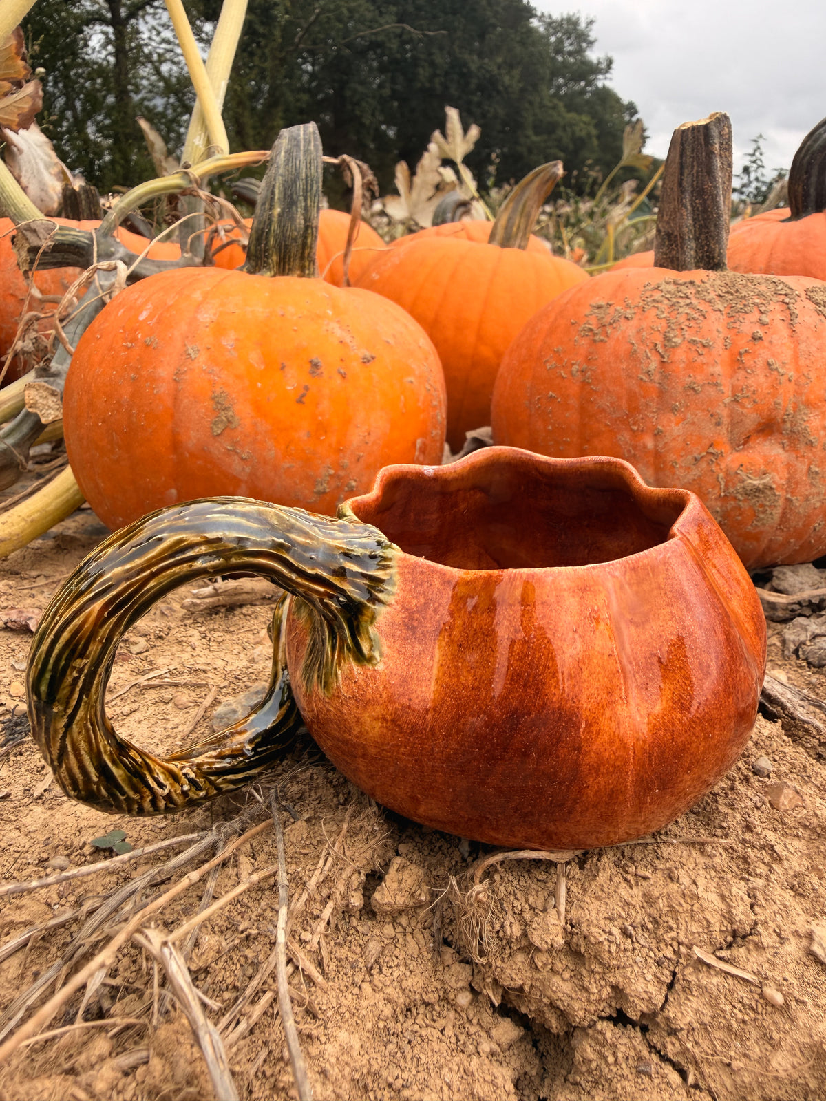 Récolte : Mug citrouille orange patiné PRECOMMANDE