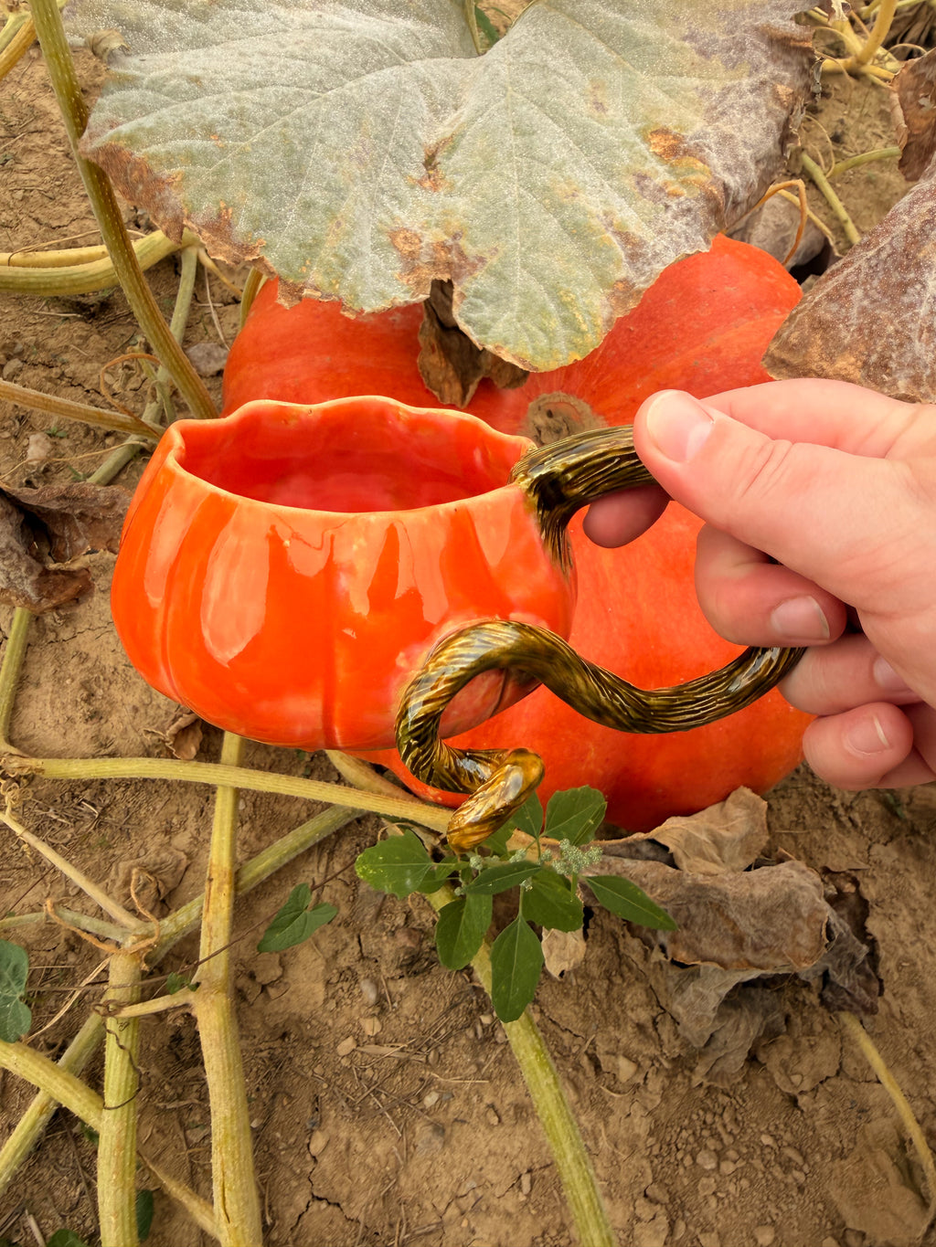 Récolte : Mug citrouille orange pop