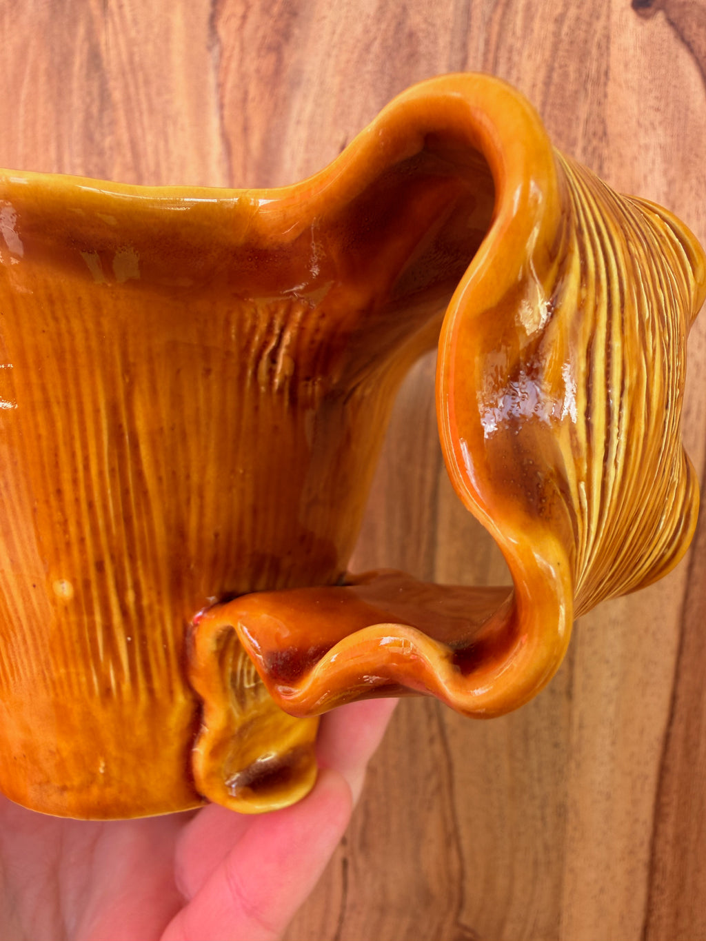 Sous-bois : Tasse girolle