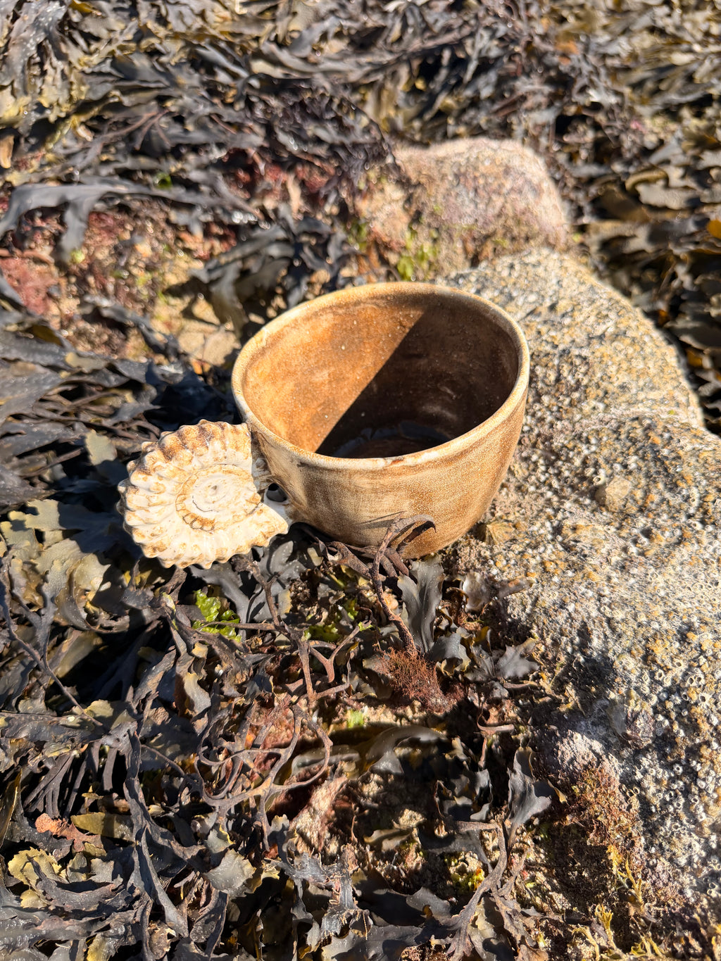 L'Ammonimug