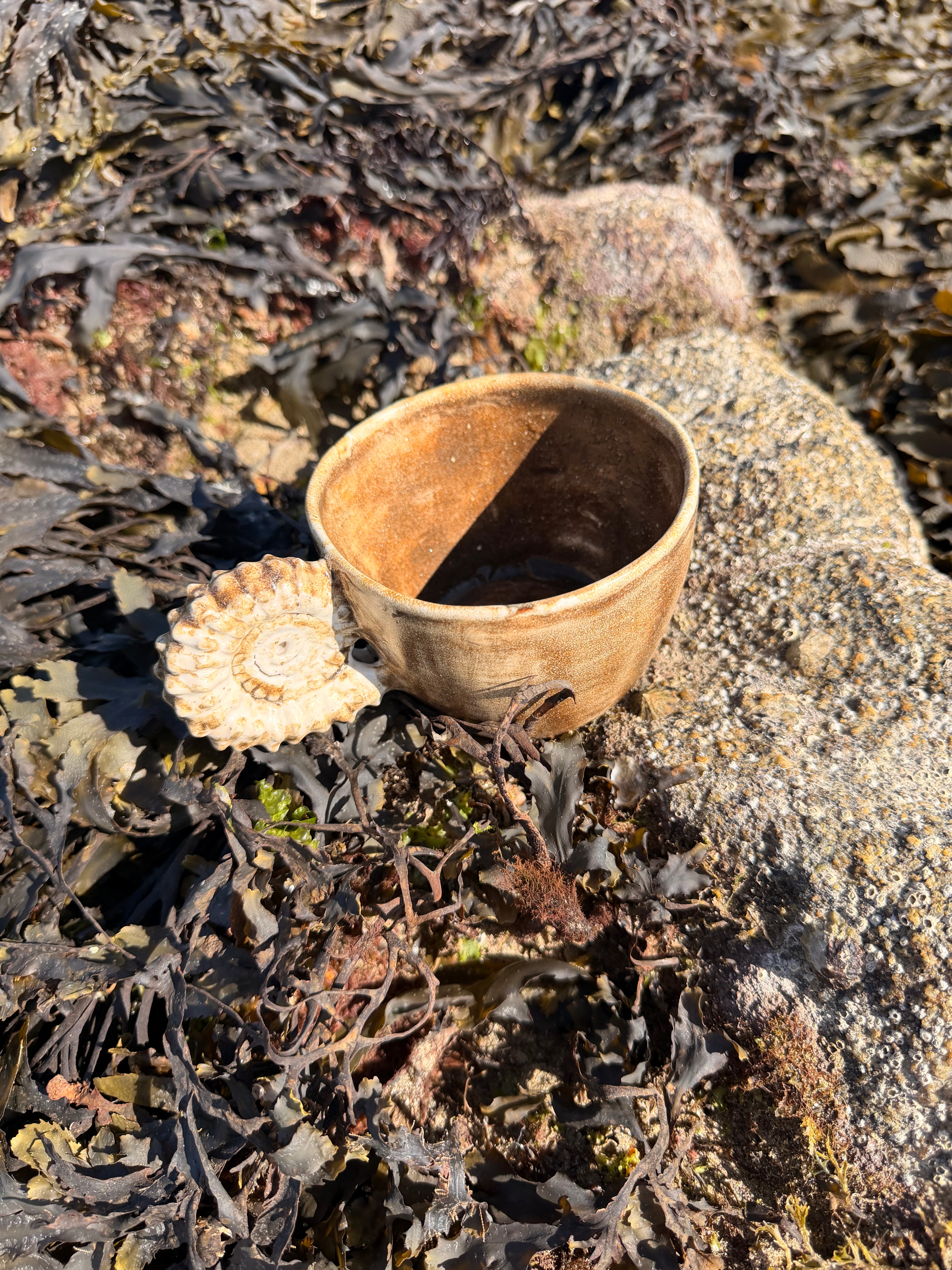 L'Ammonimug