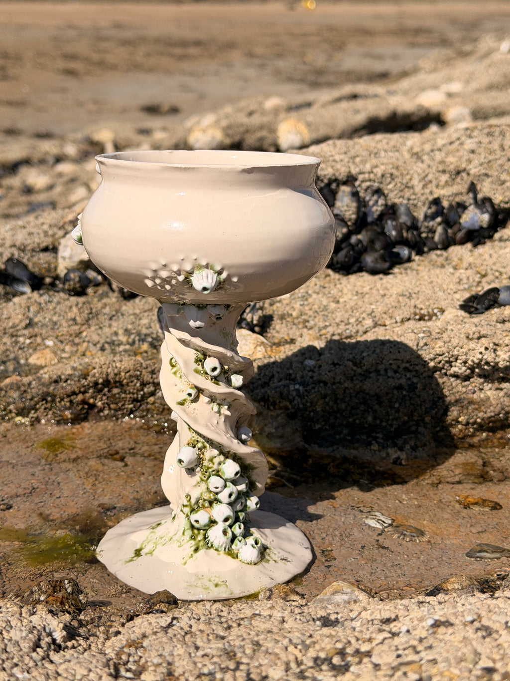 Grand Calice Bernacles