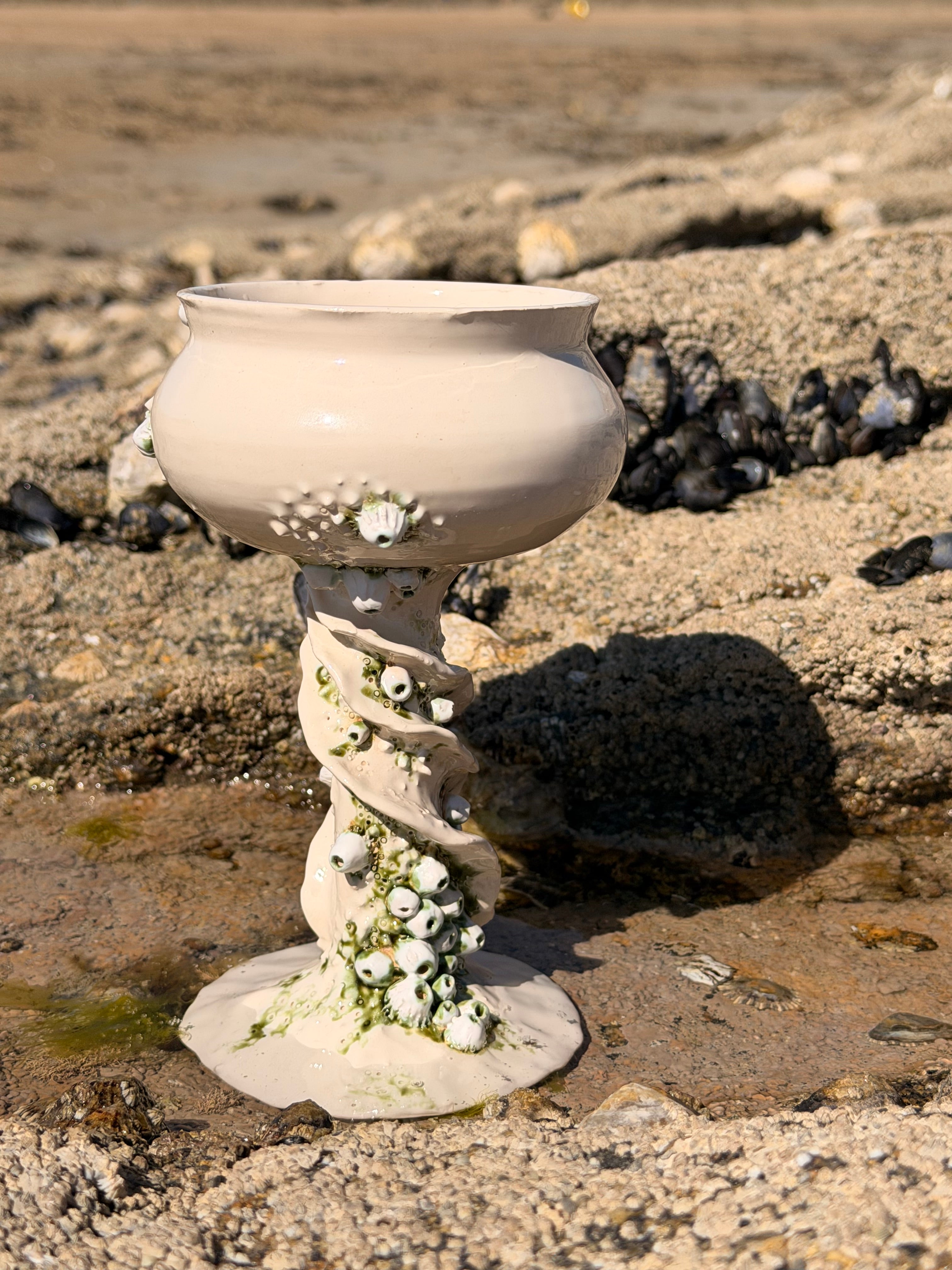 Grand Calice Bernacles