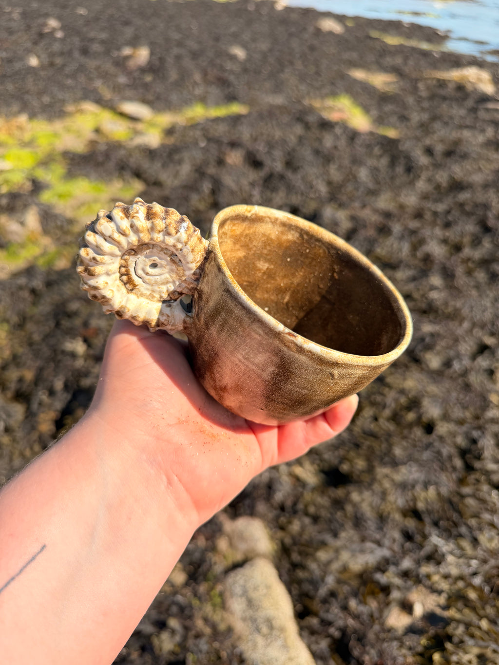 L'Ammonimug