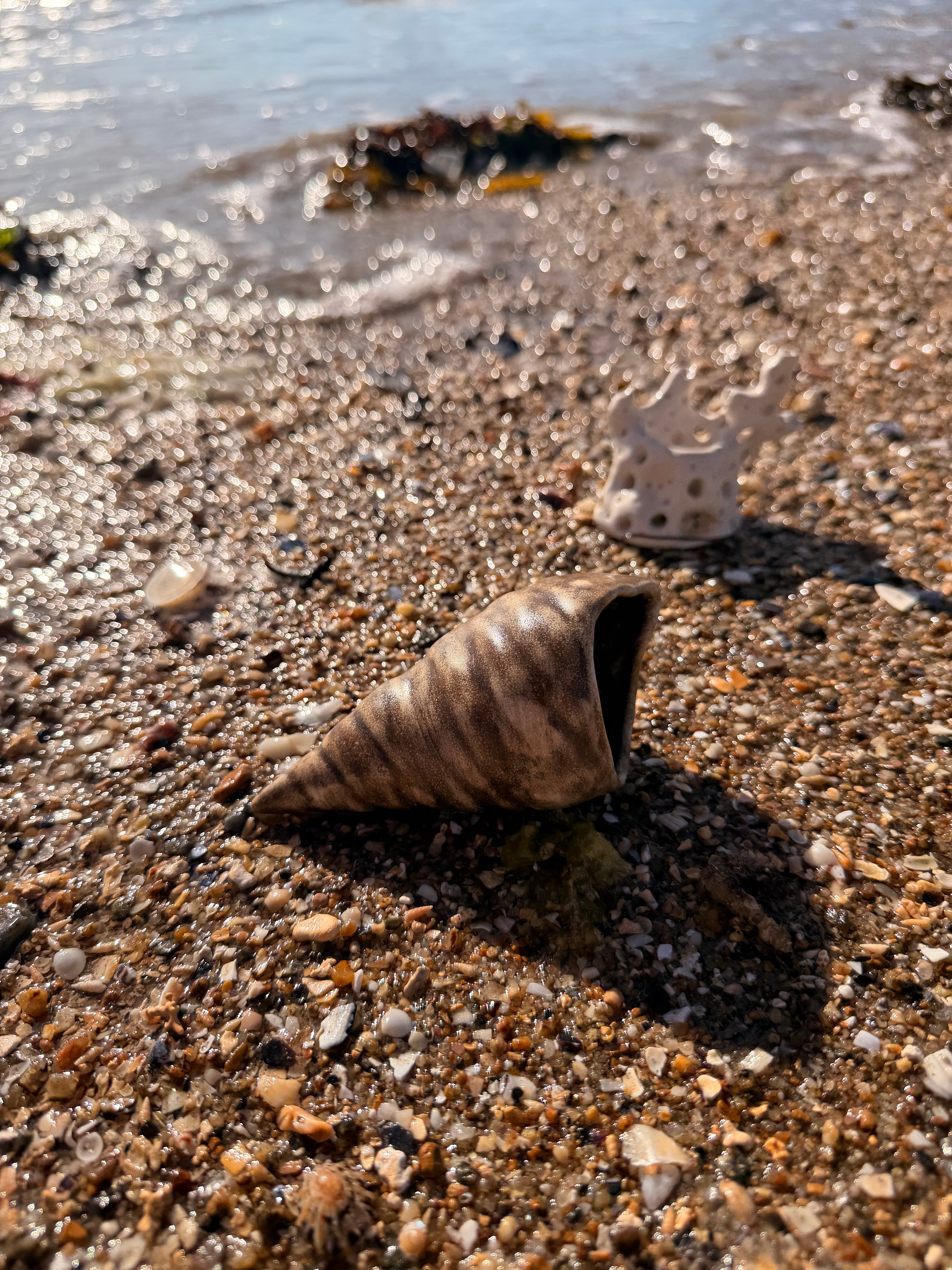 Tasse Shellpresso